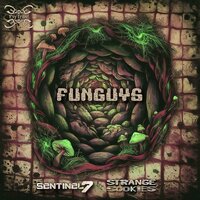 Shiitake Swagger - Sentinel 7 & Strange Cookies