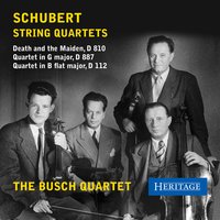 String Quartet in G Major, Op. 161, D. 887: I. Allegro molto moderato - Франц Шуберт & The Busch Quartet