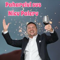 Paharelul sus - Nicu Paleru