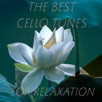 Cello Concerto G. 480 No. 7, (1. Allegro) - Raiden Ensemble & Луиджи Родольфо Боккерини