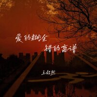 爱的糊涂错的离谱 - 王超然