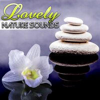 New Age, Just Relax - Lovely Nature Music Zone
