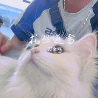 扎丝避雷 - DJ德朋