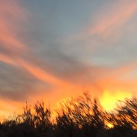 Jacid Haze (feat. Offlabelfi) - Patrick Doyle