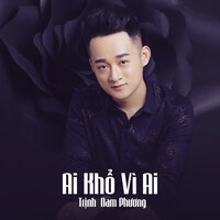 Ai Khổ Vì Ai - Trịnh Nam Phương