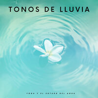 Música De Lluvia - Sonidos de lluvia & Yoga & Meditacion