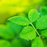 A waiting mind - Feeling Drawings