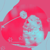 Serene Ambiance for Serene Puppies - Relaxing Dog Music Lounge