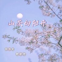 山茶向阳开 - 田浩文 & 肥皂泡