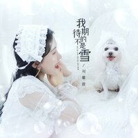 我期待的不是雪 - 刘馨蔚