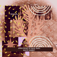 High Grade Acid - Jimmyzkinz & Liquid Static