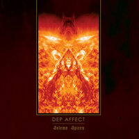 Elephant Cage - Dep Affect