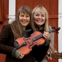 Prestekrage-Dager - Tove Bøygard & Hege Rimestad