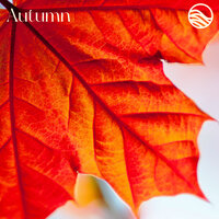 Autumn - emeraldwave