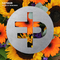 Feels Good - Flux Pavilion & Tom Cane