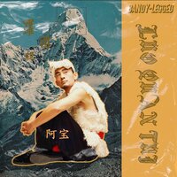 今夜舞起来 - 阿宝 & 张冬玲