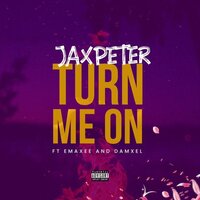Turn Me On - Jax Peter & Emaxee & Damxel