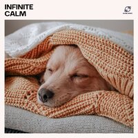 Zen Sleep Music - Dream Sleep Music & Sleep Music Academy & Sleeping Music Zone & Sleep Therapy Music