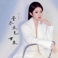 苦尽未见甘来 - 红小乐