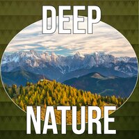 Calming Music for Stress Relief - Lovely Nature Music Zone
