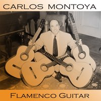 Zapsteap - Carlos Montoya