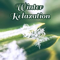 Snow Gentle Storm - Relaxing Evening Music Universe