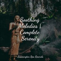 Ultimate Relaxation - Native American Flute & Ambient Arena & Sounds Of Nature : Thunderstorm