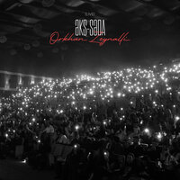 Mavi Qızılgüllər - Orxan Zeynallı & Nargis Majidli