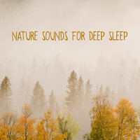 Deep Relaxation - Mothers Nature Music Academy & Nature Ambience & Mother Nature Sound FX