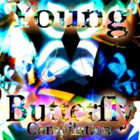 Young Butterfly - M.