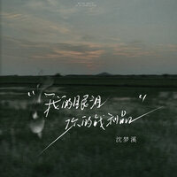 我的眼泪你的战利品 - 沈梦溪 & 德朋