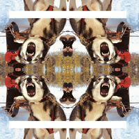 Yokohama - DESTIINO & Yuksek