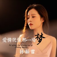 爱情就像那一场梦 - 孙茹雪