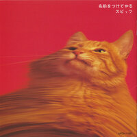 Machiawase - Spitz & Spitz