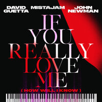 If You Really Love Me (How Will I Know) - David Guetta & MistaJam & John Newman