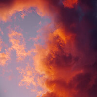 Young Again - Fool Happy & Steele