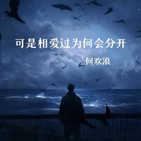 可是相爱过为何会分开 - 何欢浪