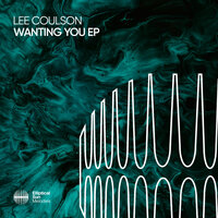 Hiding In The Darkness - Lee Coulson