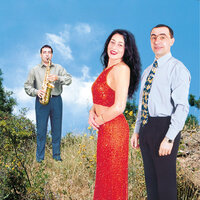 Nu Stiu Doamne Ce-Am Patit - Simi Deac & Luminita Puscas