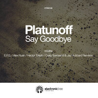 Say Goodbye - Platunoff