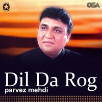 Hum Tera Aitbar Kar Baithe - Parvez Mehdi