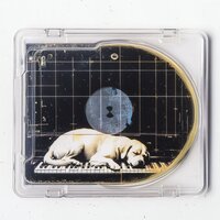 Co-Existence - Reiki for Animals