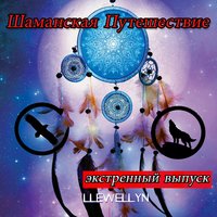 Hearts to Understand - Llewellyn