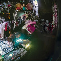 Morning Bandanas - Sunshine Jones