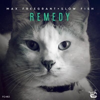 Remedy - Max Freegrant & Slow Fish