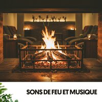 Float Downstream Fantasia - Fireplace Sounds & Amazing Spa Music & Sommeil