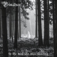 Let Go the Flame - Primaluce