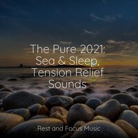 Sleep - Saludo al Sol Sonido Relajante & Yoga Sounds & Buddhist Meditation Music Set