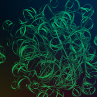 Caustic Camo - Sıla