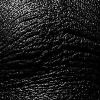 Collapse Without Honor - Muddy